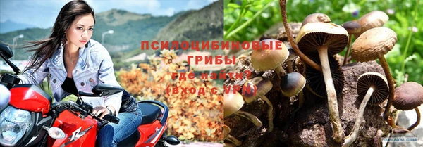 МДМА Богданович