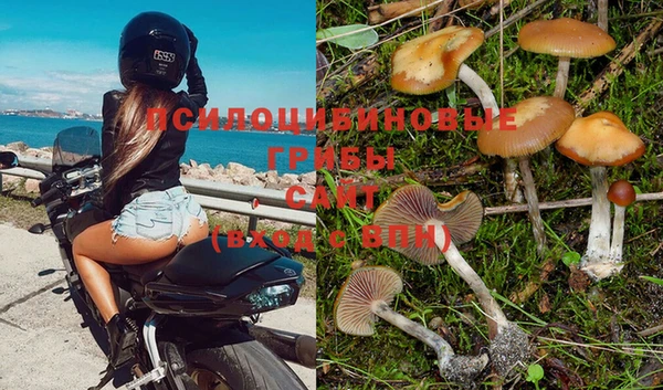 эйфоретик Богородск